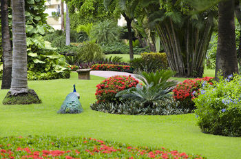 Family Luxury By Velas Vallarta Hotel