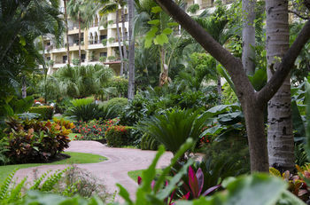 Family Luxury By Velas Vallarta Hotel 4*